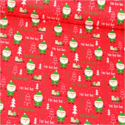 Tissu Coton Père Noël Vert - Ho ho ho | Tissus Loup