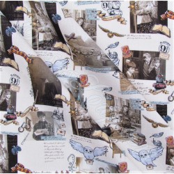 Tissu Coton Harry Potter Poudlard | Tissus Loup
