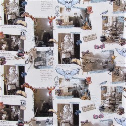 Tissu Coton Harry Potter Poudlard | Tissus Loup