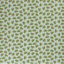 Tissu Jersey Petites Tortues | Tissus Loup