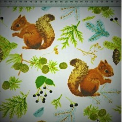 Tissu Coton Écureuil dans les Bois | Tissus Loup