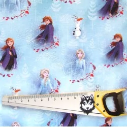 Tissu Coton La Reine de Neige Anna et Elsa | Tissus Loup