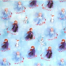 Tissu Coton La Reine des Neiges Anna et Elsa  Disney | Tissus Loup