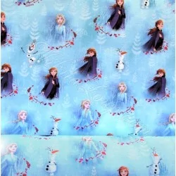 Tissu Coton La Reine des Neiges Anna et Elsa  Disney | Tissus Loup