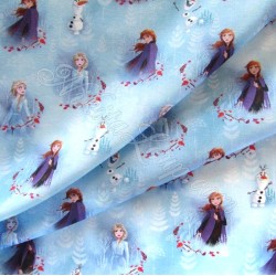 Tissu Coton La Reine des Neiges Anna et Elsa  Disney | Tissus Loup