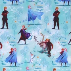 Tissu Coton Reine de Neige Elsa Anna et Kristoff Disney | Tissus Loup