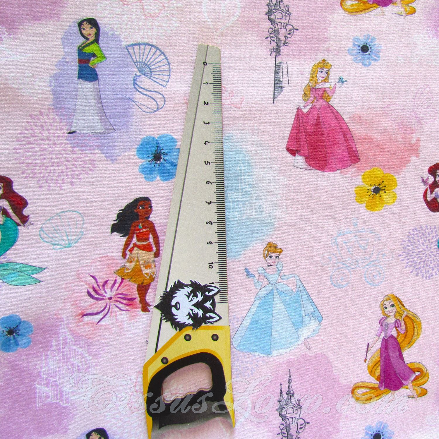 Tissu Princesses Disney — 2