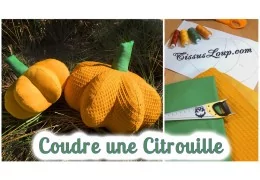 Tuto coudre un citrouille en peluche Halloween